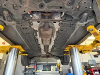 WhatsApp Image 2026-01-27 at 1.56.47 PM.webp